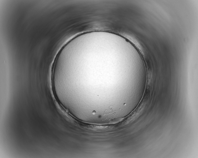 X0000094081439200711021505