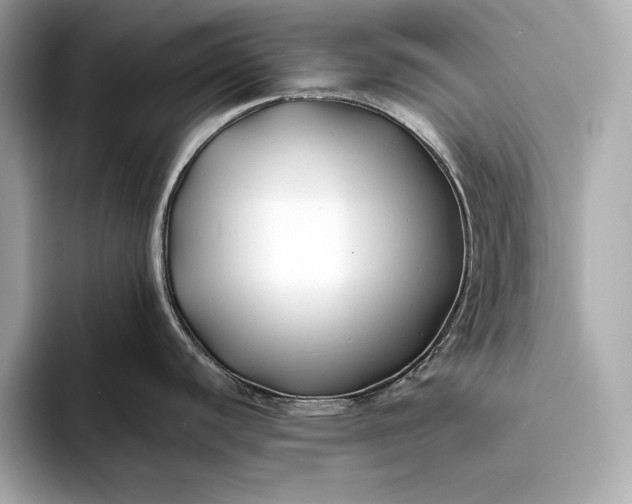 X0000094081440200711021505