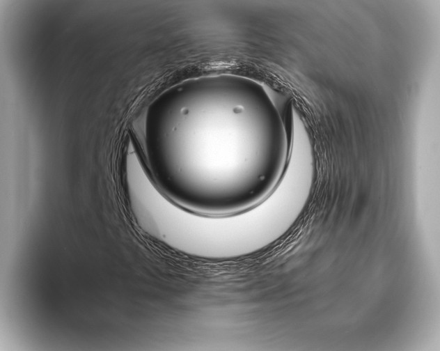 X0000094081441200711021505