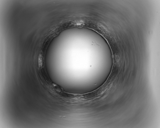 X0000094081442200711021505