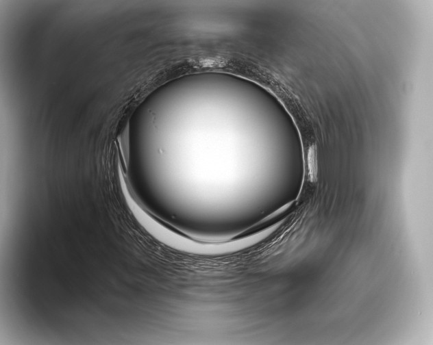 X0000094081443200711021505