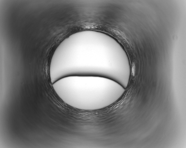 X0000094081444200711021505