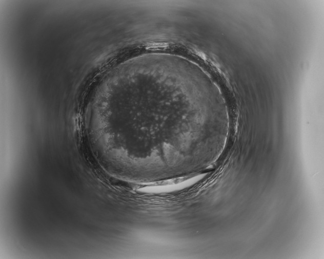 X0000094081445200711021505