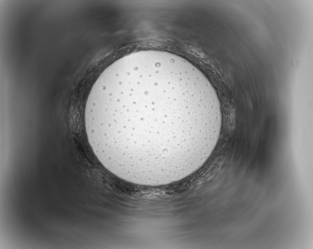 X0000094081446200711021505