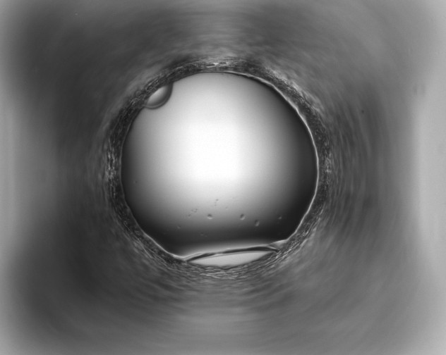 X0000094081447200711021505