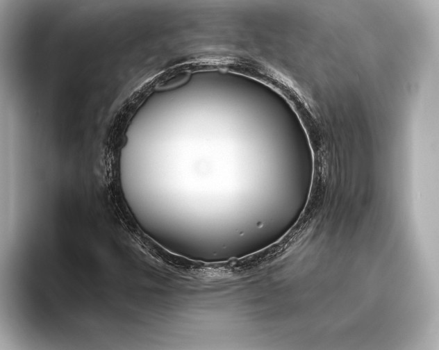 X0000094081448200711021505