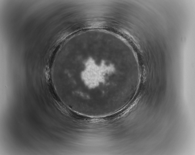 X0000094081449200711021505