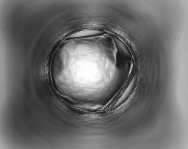 X0000094081450200711021504