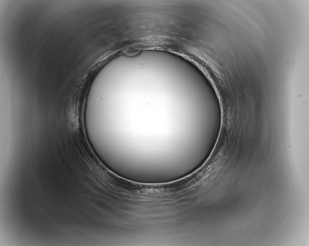 X0000094081451200711021504