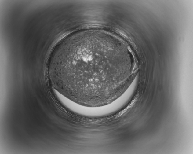 X0000094081453200711021504