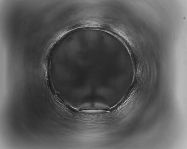 X0000094081455200711021504