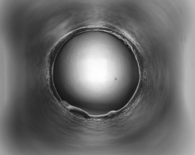 X0000094081456200711021504