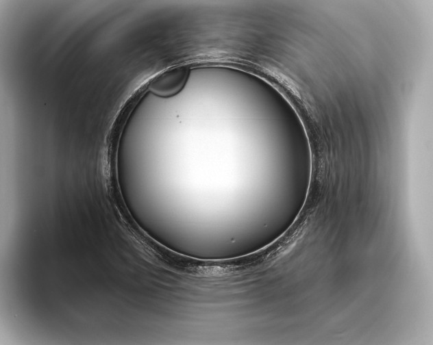 X0000094081458200711021504