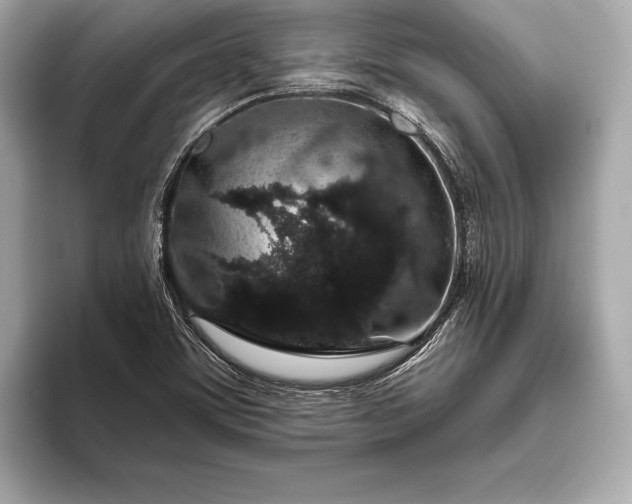 X0000094081459200711021504