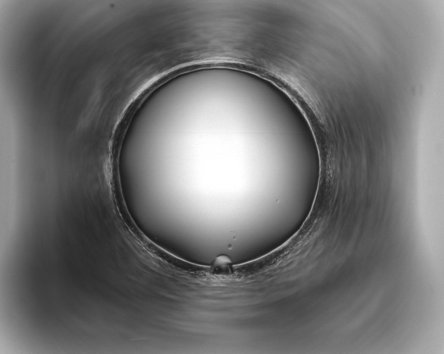 X0000094081460200711021504