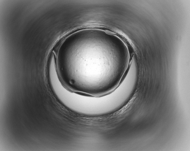 X0000094081461200711021504