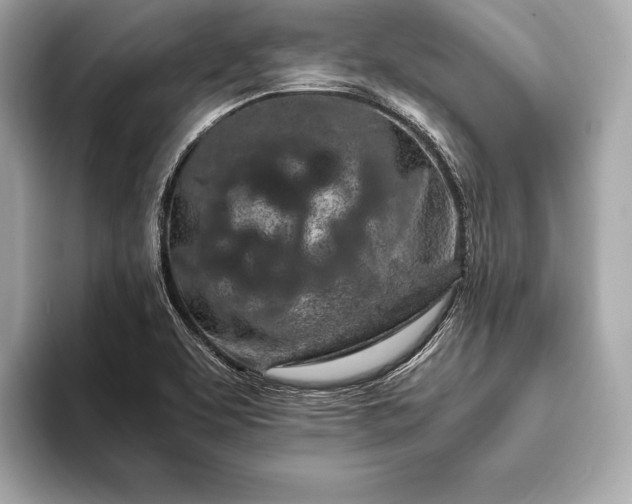 X0000094081463200711021504