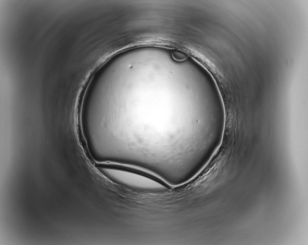 X0000094081471200711021504