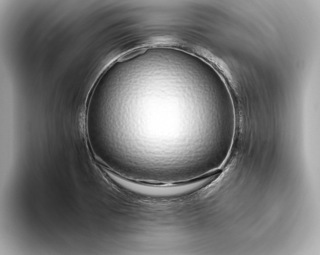 X0000094081473200711021504