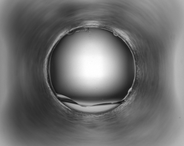 X0000094081475200711021504