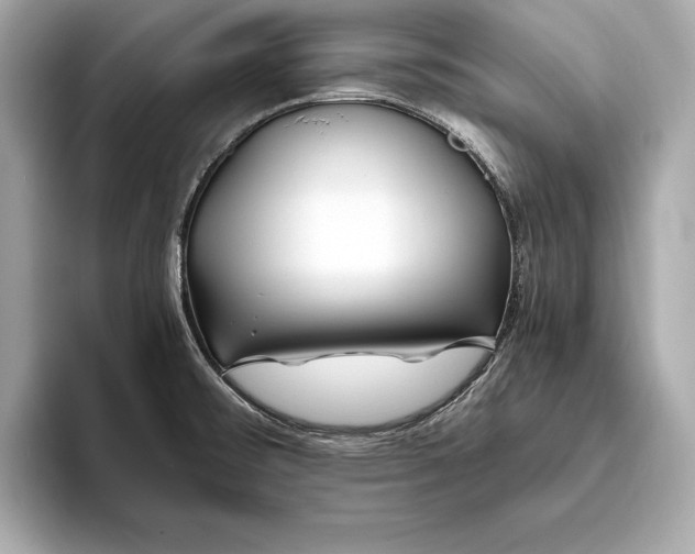 X0000094081476200711021504