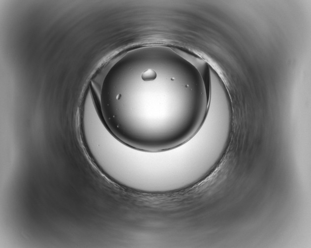 X0000094081477200711021504