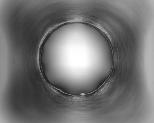 X0000094081480200711021504