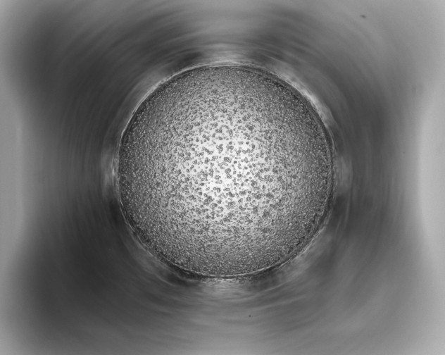 X0000094081481200711021504