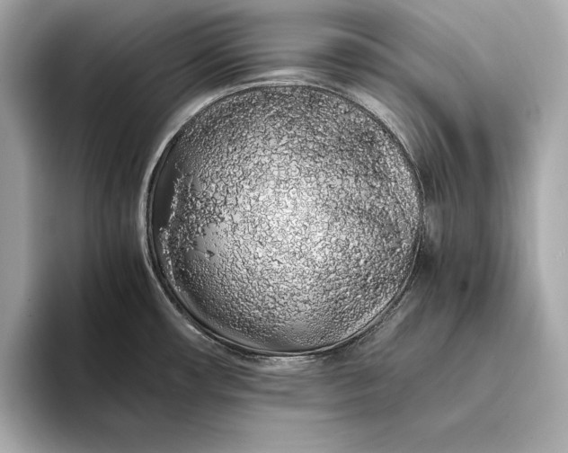 X0000094081482200711021504