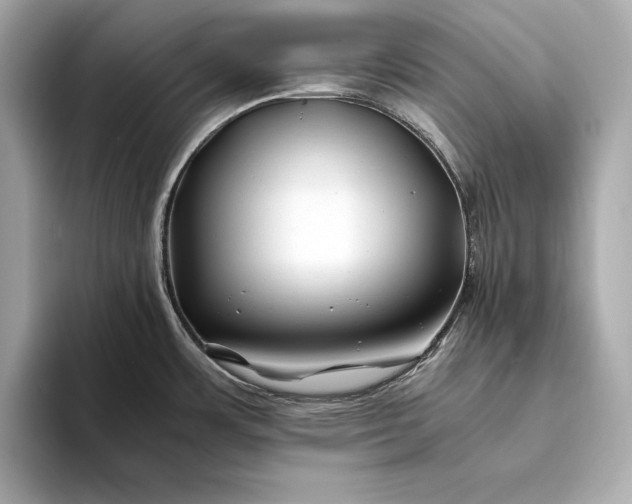 X0000094081483200711021504