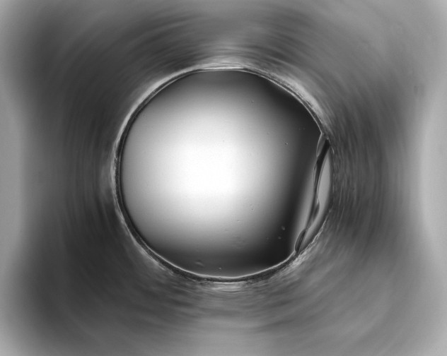 X0000094081484200711021504