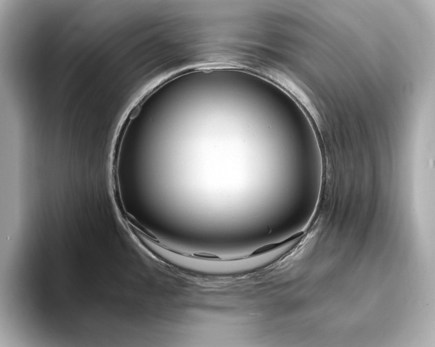 X0000094081485200711021504