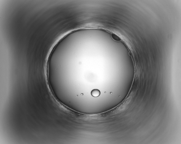 X0000094081486200711021504