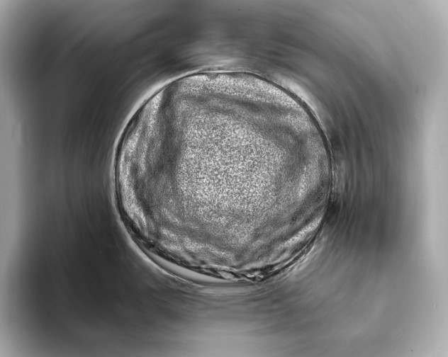 X0000094081487200711021504