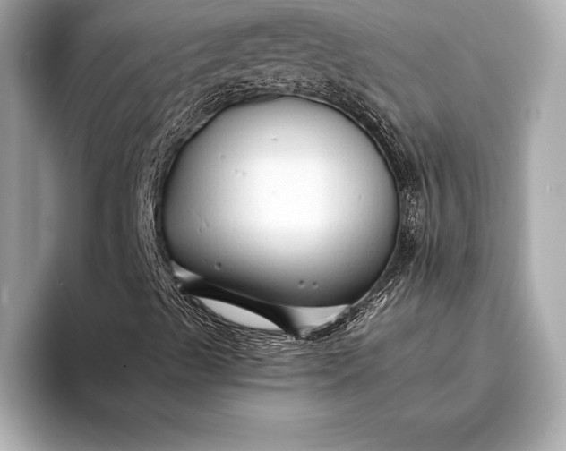 X0000094081489200711021503