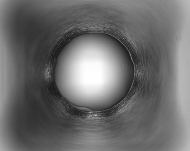 X0000094081490200711021503