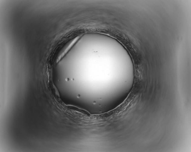 X0000094081493200711021504