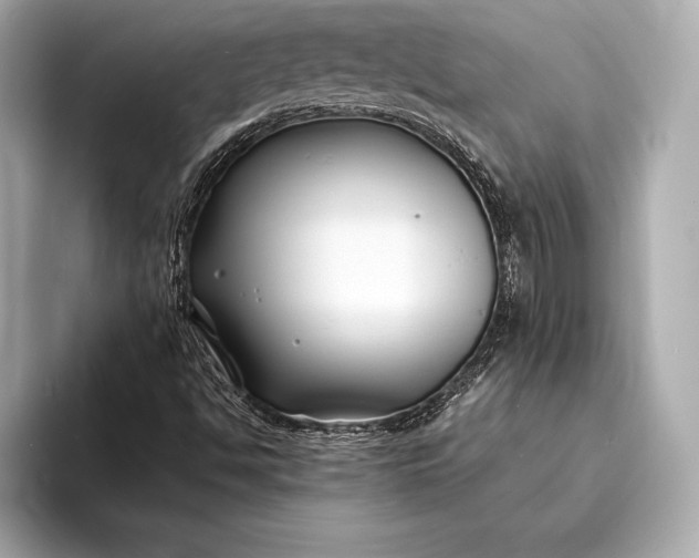 X0000094081494200711021504