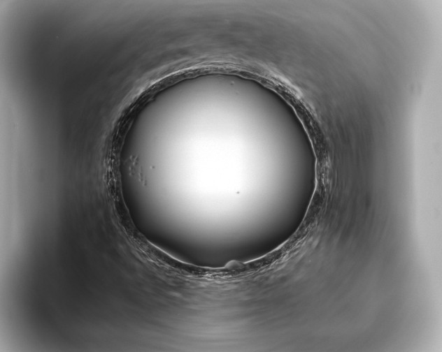 X0000094081496200711021504