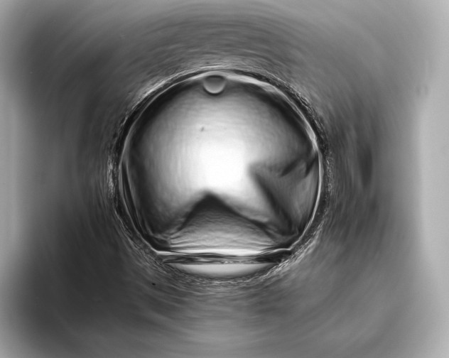 X0000094081497200711021504