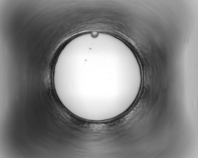 X0000094081498200711021504