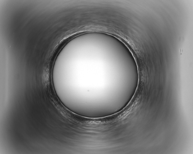 X0000094081499200711021504