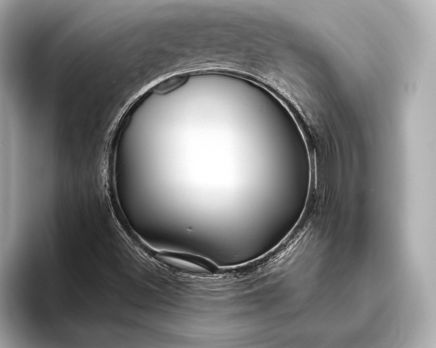 X0000094081500200711021504