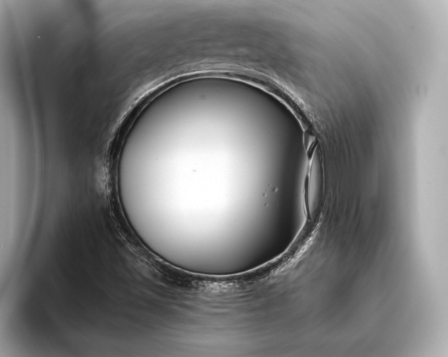 X0000094081501200711021504