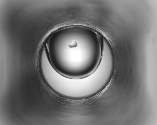 X0000094081502200711021504