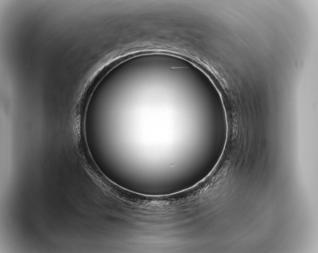 X0000094081503200711021504