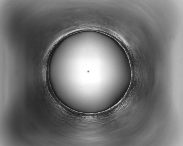 X0000094081504200711021504