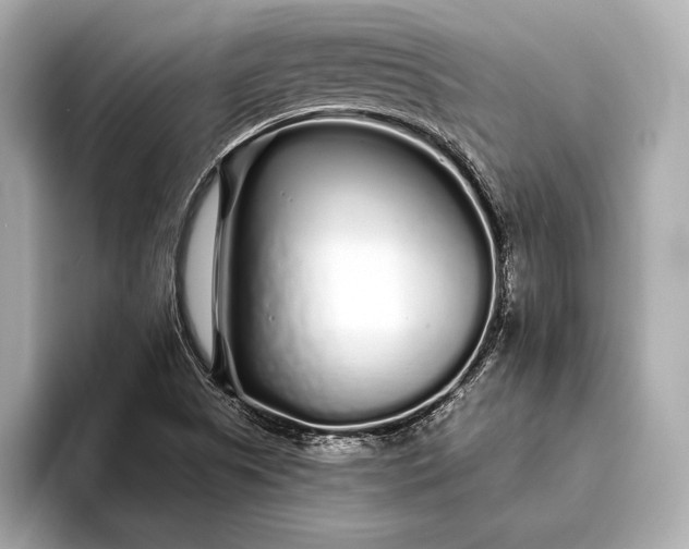 X0000094081505200711021504