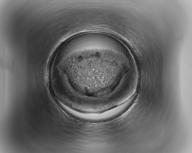 X0000094081506200711021504