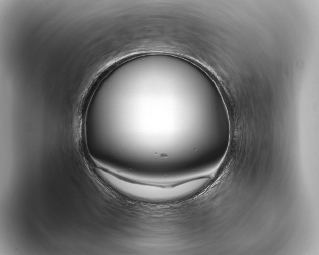 X0000094081507200711021504